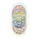 Image for article titled Caitlin Russell's Beautiful Illustrations of Theories of the Universe